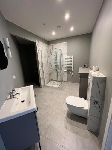 een badkamer met een toilet, een wastafel en een douche bij Apartamentai Jums in Telšiai