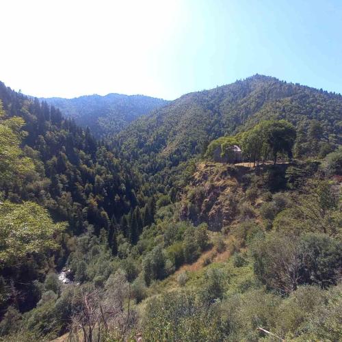 auliculiculiculiculiculiculiculiculiculiculiculiculiculiculic at Hotel Villa Borjomi in Borjomi