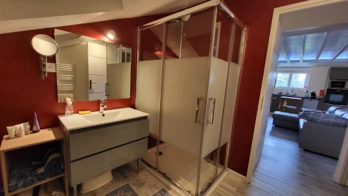 une salle de bain avec un lavabo et une douche en verre dans l'établissement Gite moderne et calme, à Moncel-sur-Seille