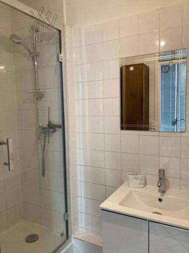 une salle de bain avec une douche, un lavabo et un miroir dans l'établissement Joli appartement à Saint Paul, à Paris