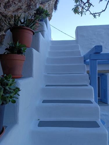 a staircase with potted plants on the side of a building at Villa Nina, dreamy little cycladic home in Amorgos in Órmos Aiyialís