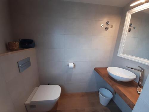 Vonios kambarys apgyvendinimo įstaigoje Apartaments Vall del Corb 1 Garrotxa