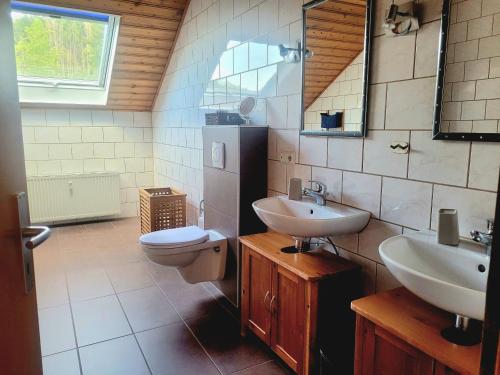 a bathroom with a sink and a toilet and a mirror at Ferienwohnung Storchennest 