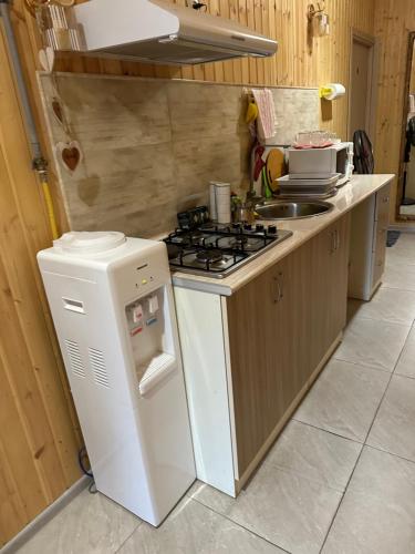 a small kitchen with a stove and a refrigerator at Dom Adonis in Dilijan