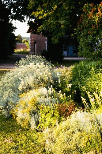 a garden with white flowers in a yard at Le château de Bonnemare - Bed and breakfast in Radepont