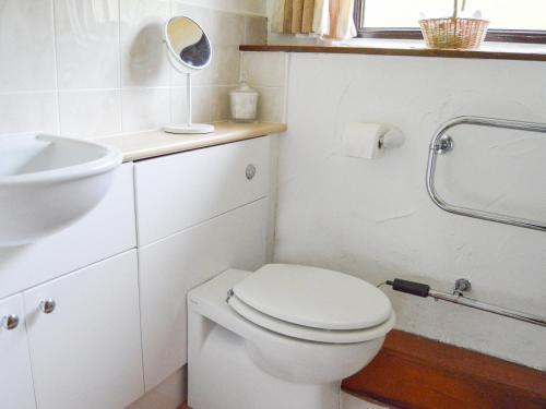 a white bathroom with a toilet and a sink at Windbury Cottage in Bideford