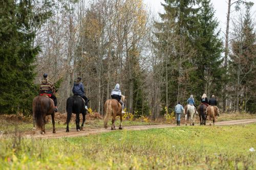 a group of people riding horses down a dirt road at Zirgu sēta "Klajumi" - Horse ranch "Klajumi" in Kaplava