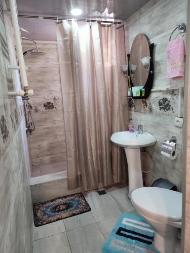y baño con ducha, lavabo y aseo. en Hotel bereka, en Mtskheta