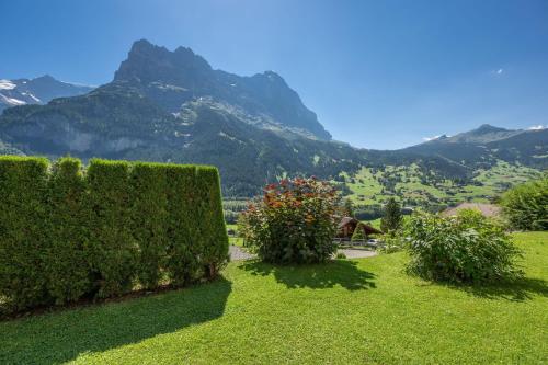 a hedge with a view of a mountain at Hotel Spinne Grindelwald in Grindelwald
