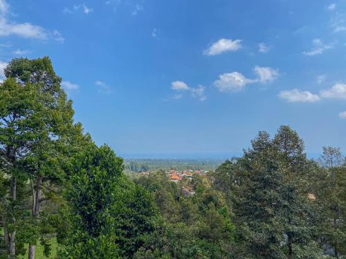 a group of trees with a town in the distance at Mandhasativa Homestay in Singaraja