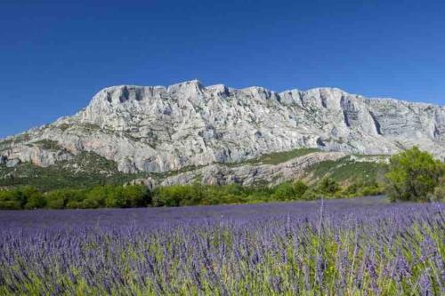 Paesaggio naturale nelle vicinanze dell'appartamento