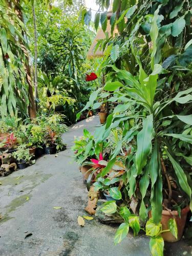 Zahrada ubytování Oldy De Garden