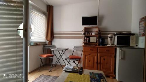 a kitchen with a refrigerator and a table and chairs at Tiny Flat Baiersbronn in Baiersbronn