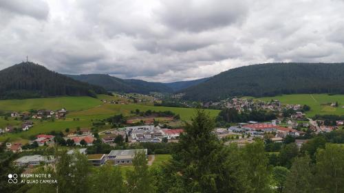 a small town in a green valley with mountains at Tiny Flat Baiersbronn in Baiersbronn