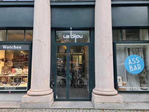 a store front with a door with a bike in it at Lucerne Lake View Apartments in Luzern