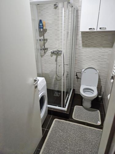 a small bathroom with a toilet and a shower at Banjica in Jajinci