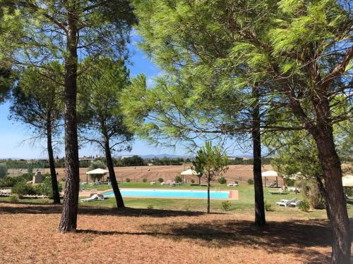 una piscina en un parque con árboles en Casa Country House Girasole vakantie huis-WAKACJE HUIS, en Asciano