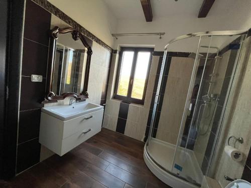 a bathroom with a sink and a shower at Pensiunea La Conac in Bîrlad