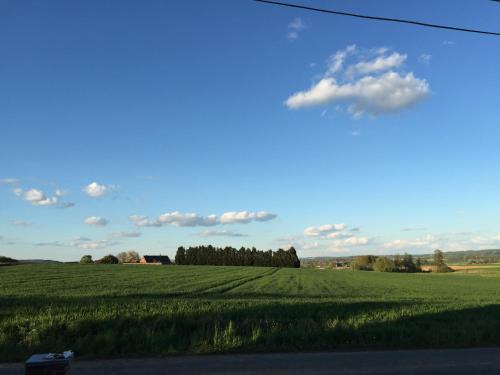 a field of green grass with a blue sky and clouds at La Maison d'Arc in Frasnes-lez-Anvaing