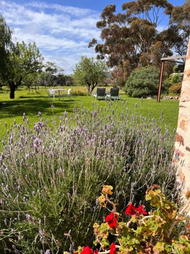 Κήπος έξω από το The Old Chaff Mill Organic Vineyard Retreat