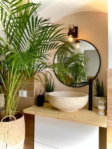 a bathroom with a sink and plants on a counter at Poppy • ecoGuestHouse in Venturina Terme