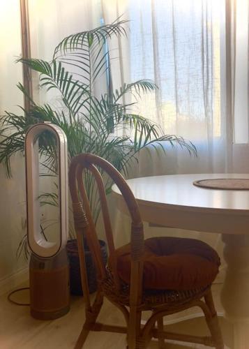 a chair sitting in front of a table with a plant at Poppy • ecoGuestHouse in Venturina Terme