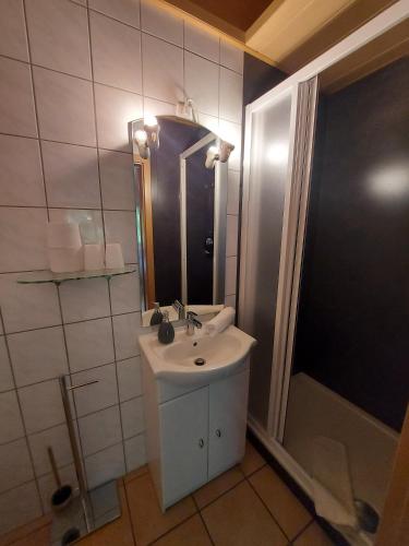 a bathroom with a sink and a mirror and a shower at Pension Hochheimer Schlösschen in Erfurt