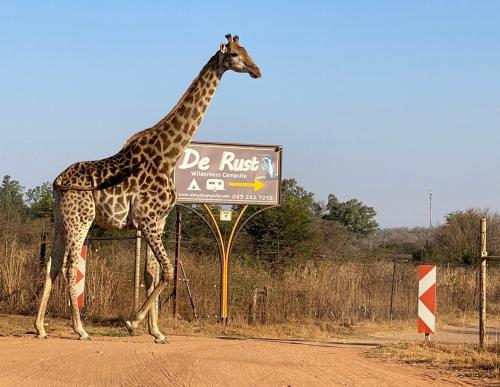 a giraffe walking on a dirt road next to a sign at De Rust Campsite in Hammanskraal