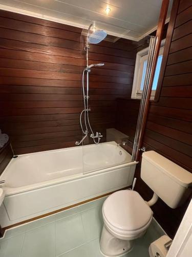a bathroom with a toilet and a bath tub at Ferienwohnung Auszeit in Sasbachwalden