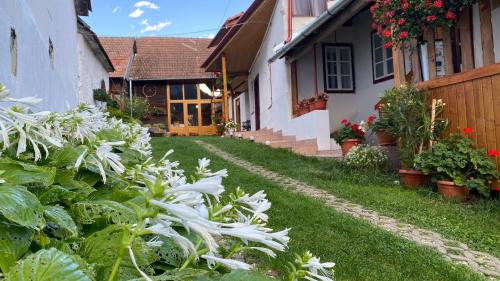 un jardín frente a una casa con flores blancas en Casa Kelemen Irén en Rimetea