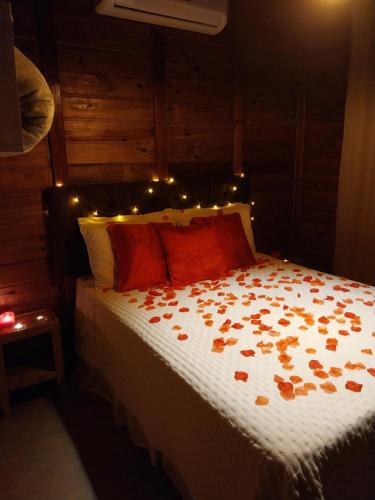 Un dormitorio con una cama con luces. en Cabanas rota da neve, en Urubici