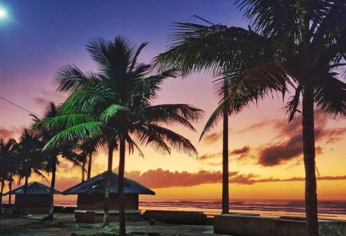 a group of palm trees on a beach with a sunset at Kitnet Centro Mongaguá Beira Mar - com garagem in Mongaguá