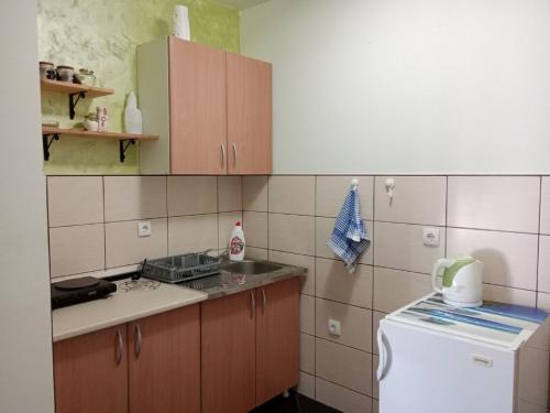 ティヴァトにあるApartments Vidikovacの小さなキッチン(シンク、冷蔵庫付)