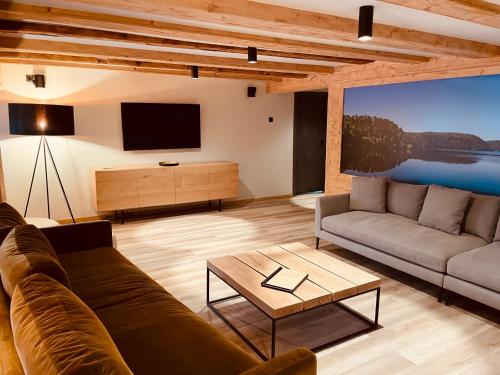a living room with a couch and a tv at FourElements in Wernigerode