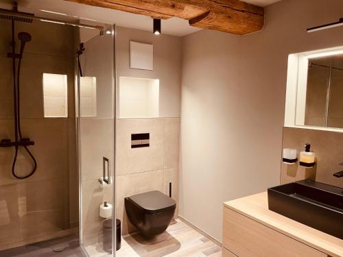 a bathroom with a shower and a toilet and a sink at FourElements in Wernigerode