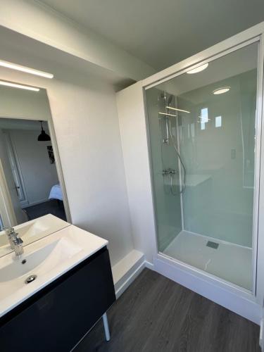 une salle de bain avec une douche en verre et un lavabo dans l'établissement Les temps modernes, à Boulogne-sur-Mer