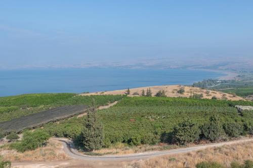 an aerial view of a vineyard and a road at RamotKinneret רמות כינרת in Moshav Ramot