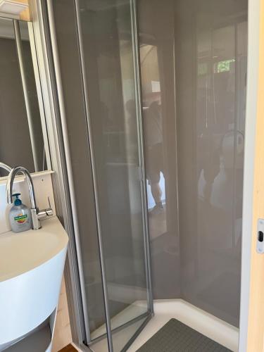 a shower with a glass door next to a sink at Tiny Haus - Himmelreich in Rast