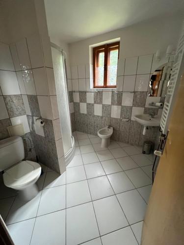 a bathroom with a toilet and a sink at Penzion Bílá Labuť in Pec pod Sněžkou