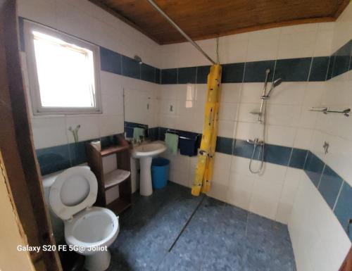 a bathroom with a toilet and a sink at LA MARINA in Ambodifotatra