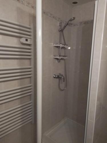 eine Dusche mit Glastür im Bad in der Unterkunft MAISON DE VILLAGE ST MARCELLIN in Veynes