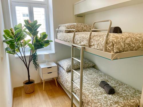 two bunk beds in a room with a plant at 75 m2 Stylish Apartment with Free Parking in Vienna
