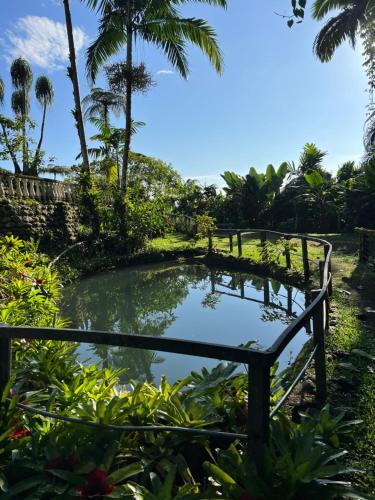 Botanica Gardens and Eco Lodge في San Gerardo: بركة في وسط حديقة فيها نخيل