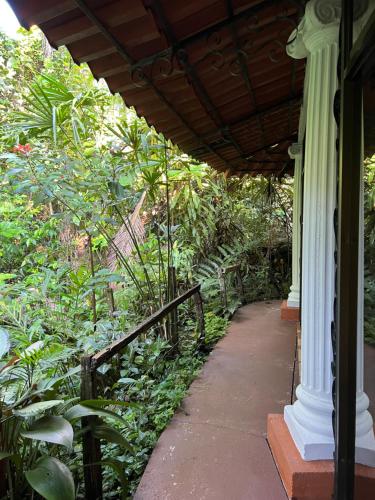 Botanica Gardens and Eco Lodge في San Gerardo: شرفة منزل به سياج ونباتات