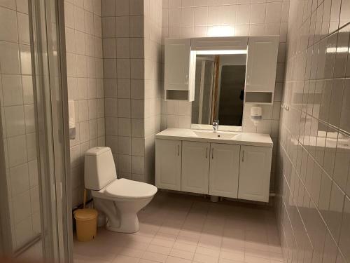 ein Badezimmer mit einem WC, einem Waschbecken und einem Spiegel in der Unterkunft SamiCity Hotel As in Karasjok