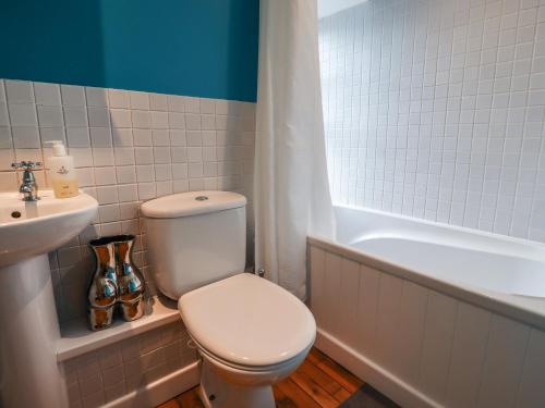 a bathroom with a toilet and a sink and a tub at Grebe Cottage in Alnwick