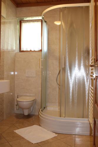 uma casa de banho com um chuveiro e um WC. em Šport center Prodnik em Ljubno