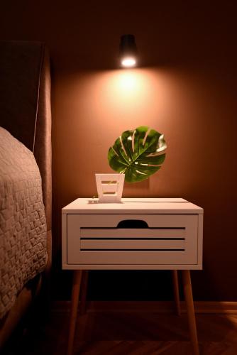 a table with a plant on it next to a bed at Apartment 863 in Bitola