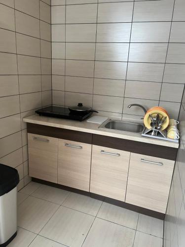 拉塞尼艾的住宿－Hostel Vytista，一个带水槽和柜台的小厨房