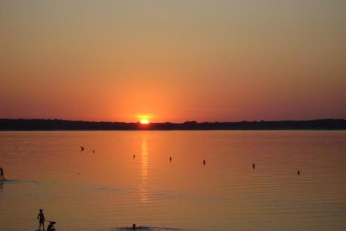 a person and a dog in the water at sunset at Corniche I 40 M2 - 40 M de l'eau et plages ! AU CALME wir sprechen flieBen deutsch, we speak English in Concarneau